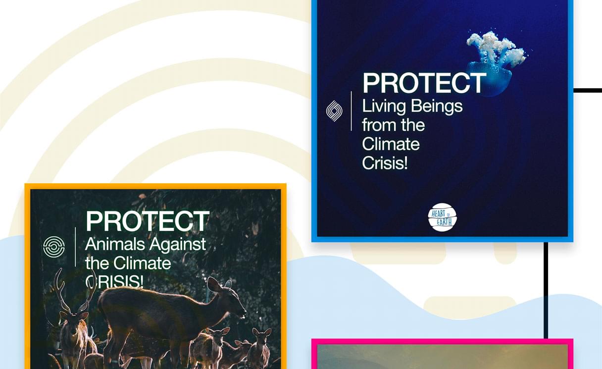 Screenshot from the project