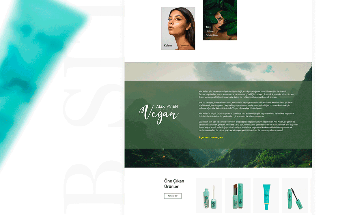 Screenshot from the project