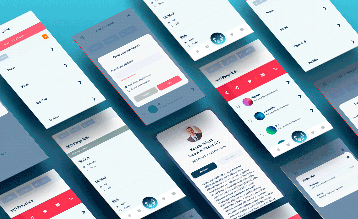 Screenshot from the project